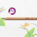 COLORE PENCIL 36CLR METAL CASE-0726136