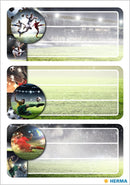 STICKER VARIO SCHOOL FOOTBALL-1763