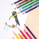 Color Pencil 12Clr