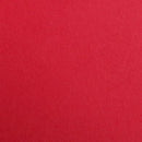 Color Paper 270g 50X70cm 5 sheets Red-97256