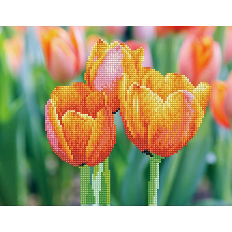 DD ART KIT: LOVE TULIPS