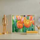 DD ART KIT: LOVE TULIPS