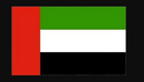 UAE FLAG 150X300CM-150X300