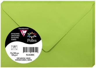 ENVELOPE POLLEN 75X100 120G MINT-5540