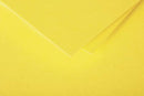 ENVELOPE POLLEN 75X100 120G YELLOW-5560