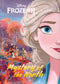 DISNEY FROZEN 2 - MYSTERY OF THE NORTH