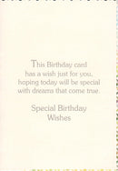 GREETING ASSORTED - Birthday Wishes For a Special Friend
