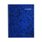 Manuscript Blue Book 9x7 inches 4 QR (192Sheets)-020437