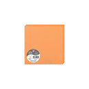 Folded Card Pollen 210G 160X160mm Orange 25 Pieces Pack-2156