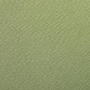 Drawing Paper 160gsm A4 25 Sheets Pack-Almond Green-93884