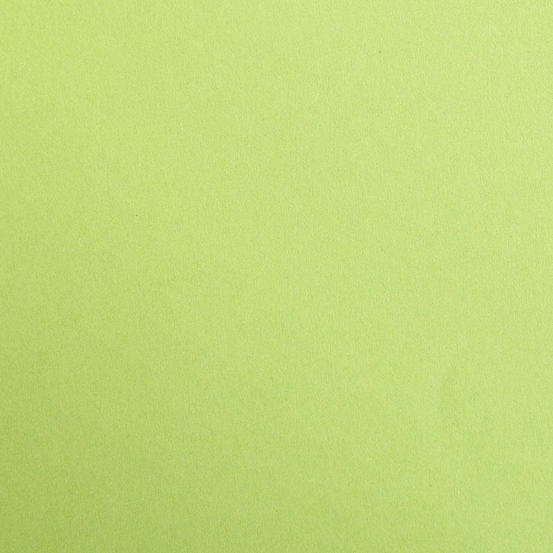 Color Paper 270g 100X70cm 5 sheets Moss Green-47952