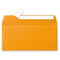 Envelop Pollen 110x220mm 120g 20 Pieces Pack-Nasturtium-5385