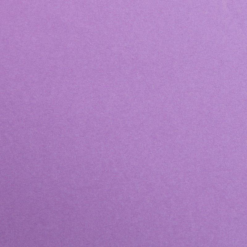 Color Paper A4 Maya 270gsm 25 Sheets Pack-Lilac-97459