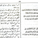 Quran 14 x 20 translation with meanings and interpretation of Urdu - Chamois