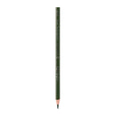 Color Pencil 6Clr-C00360
