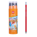 ERASABLE COLOR PENCIL 36CLR IN TUBE- 7073-36