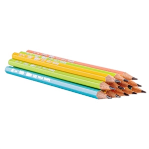 PENCIL HB 12PCS+1 ERASER  LARVA - C013-HB