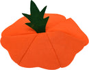 Children Felt Costume-Free Size Pumpkin-2547-25