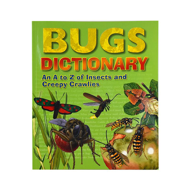 A-Z DICTIONARY BUGS