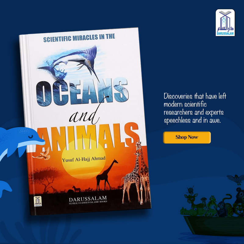 OCEAN AND ANIMALS