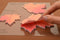 STICKY NOTE LEAF Maple-Red-Large-ALM-R03