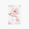 STICKY NOTE LEAF Cherry Blossom-Pink-Medium-ALC-P02