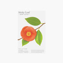 STICKY NOTE LEAF Camellia-Red-Medium-ALC3-R02