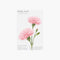 STICKY NOTE LEAF Carnation-Pink-Medium-ALC4-P02