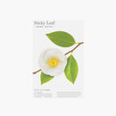 STICKY NOTE LEAF Camellia-White-Medium-ALC3-W02